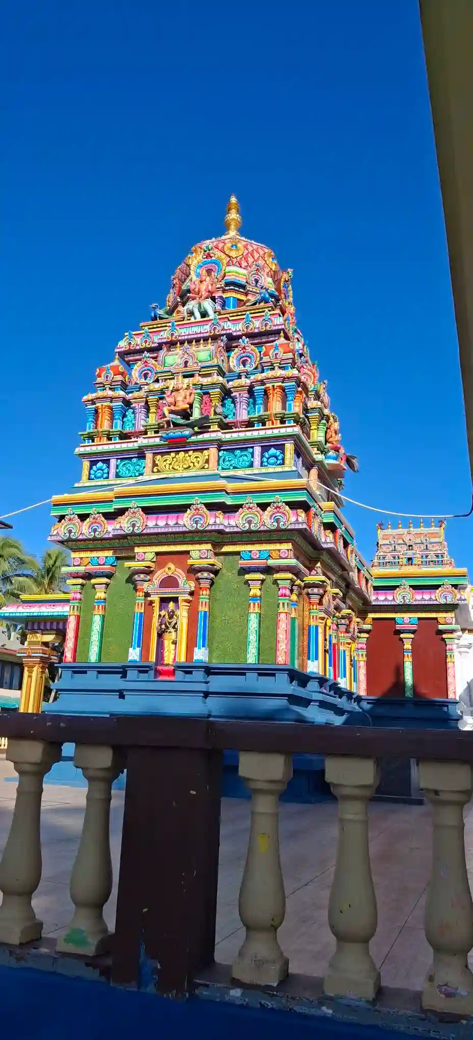 Fiji Taxi Tours & Airport Transfers in Nadi | Private Tours & Transfers Fiji 4