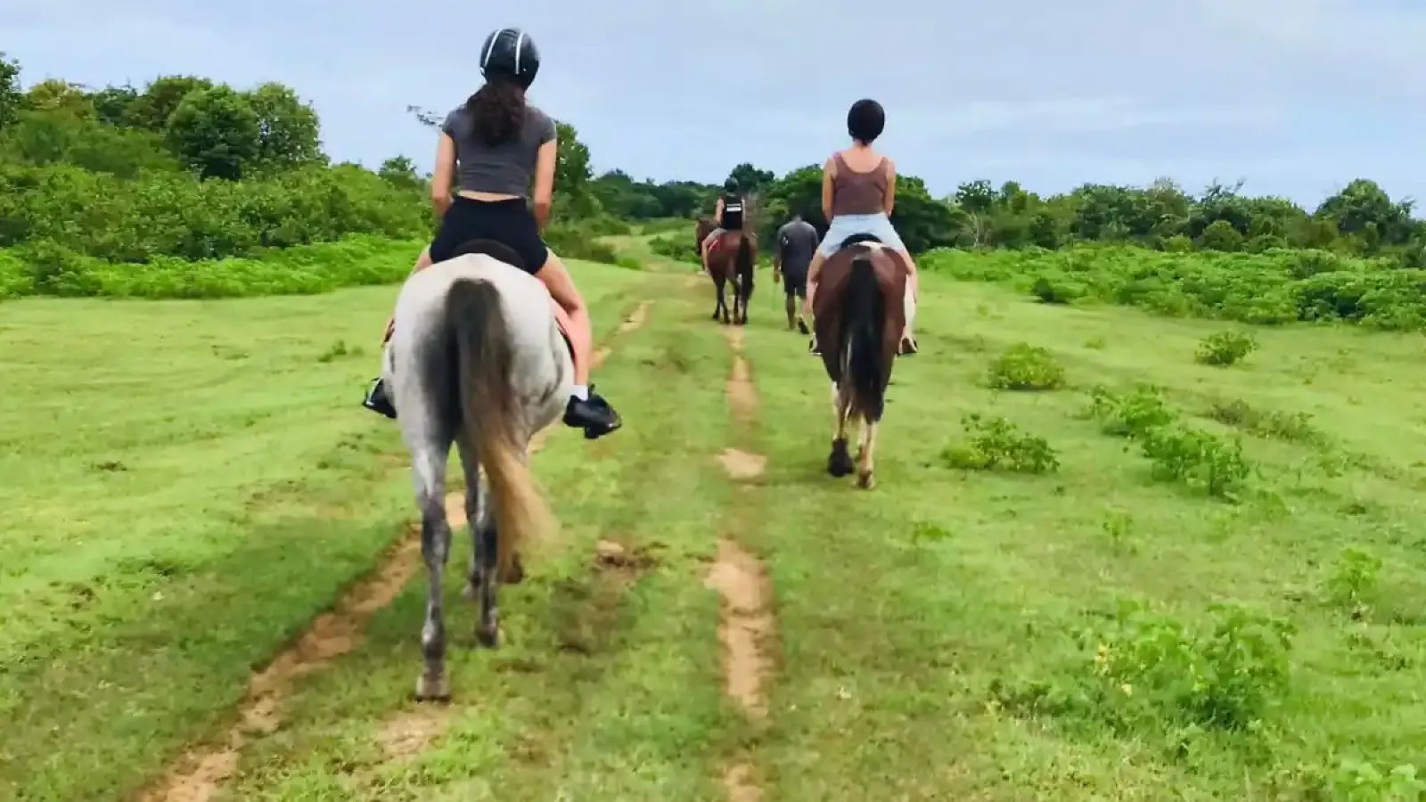 Natadola Bay Horseriding Tours, Transfers & Beach Massage 2