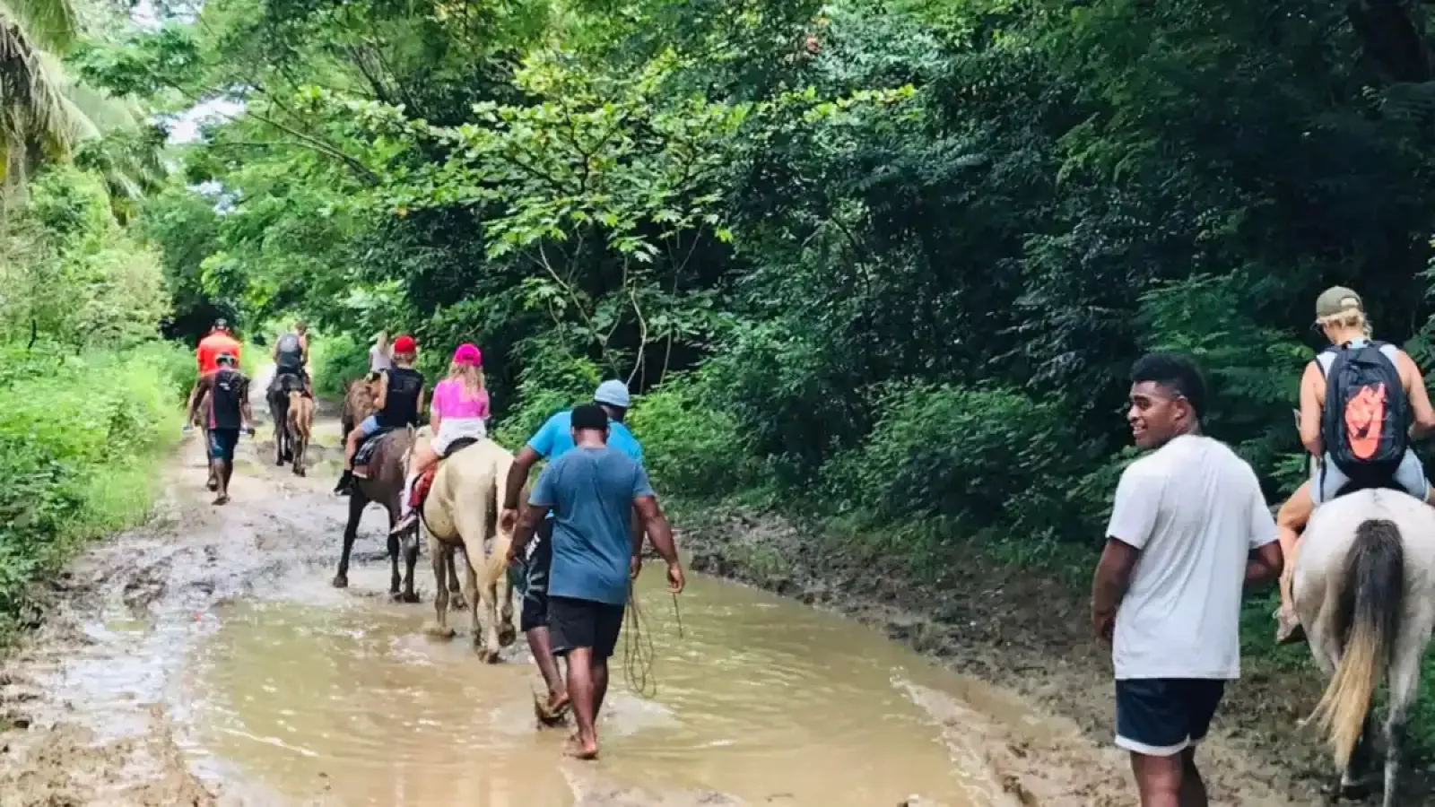 Natadola Bay Horseriding Tours, Transfers & Beach Massage 4