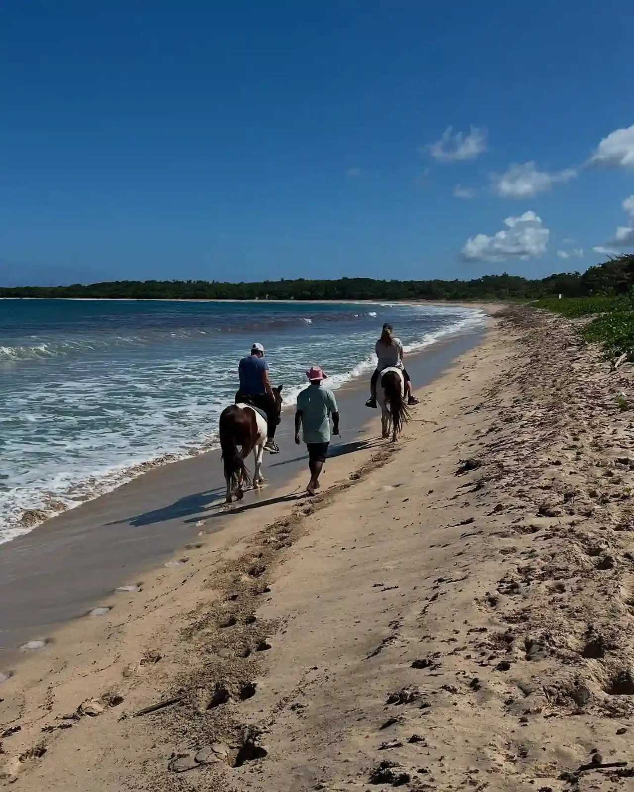Natadola Bay Horseriding Tours, Transfers & Beach Massage 6