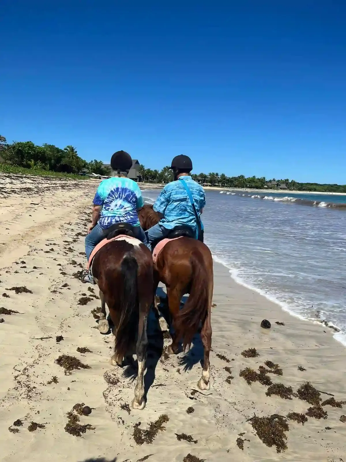 Natadola Bay Horseriding Tours, Transfers & Beach Massage 7