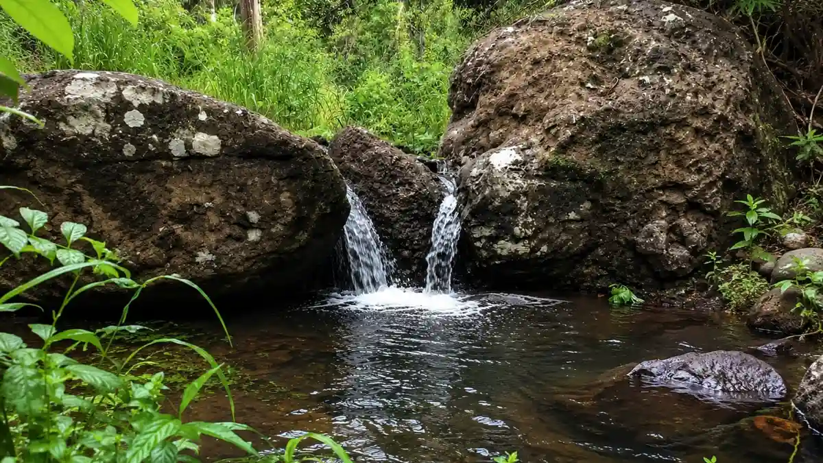 TAEP Fiji Indigenous Community & Nature Experiences 2