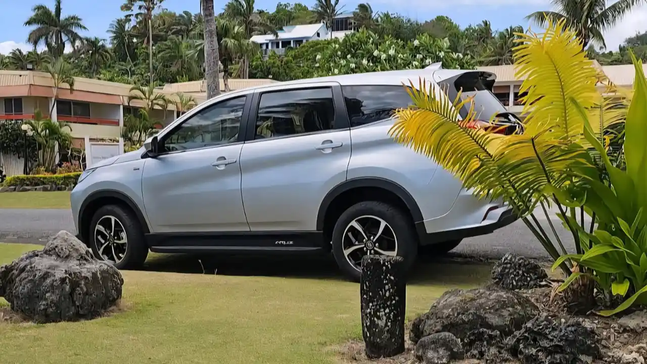 313 Rentals Taxis and Tours 2