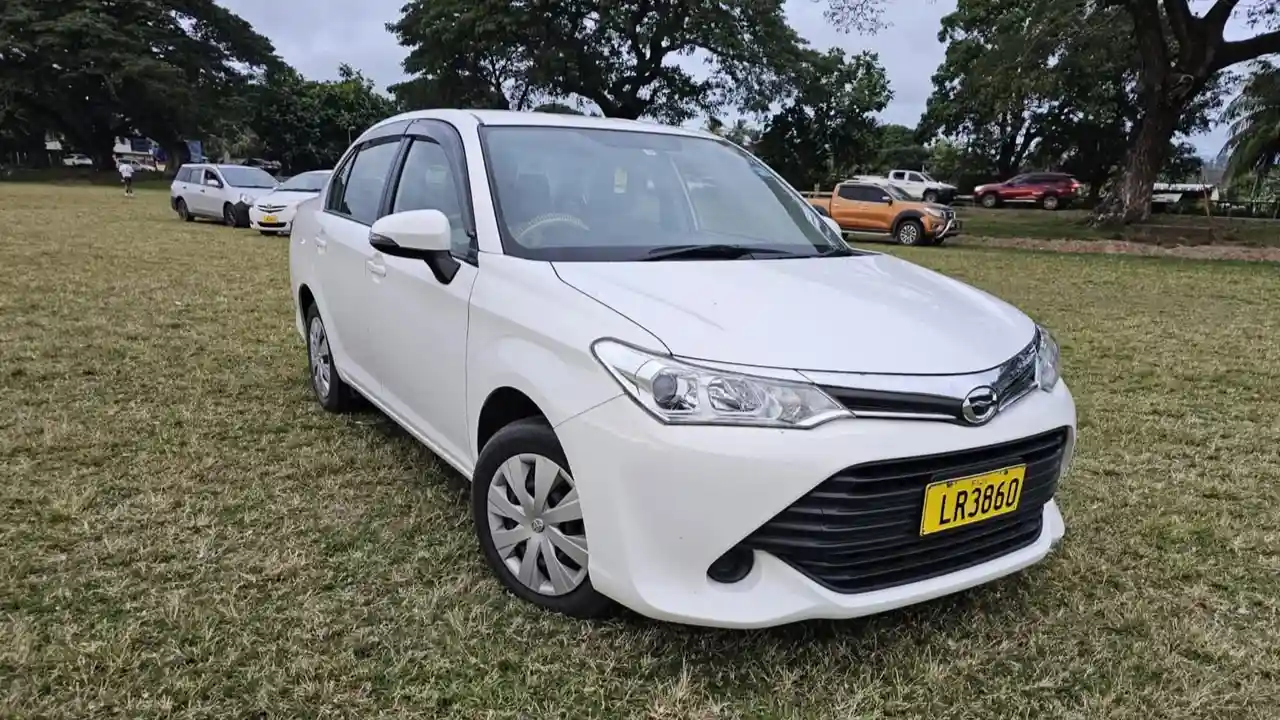 313 Rentals Taxis and Tours 1