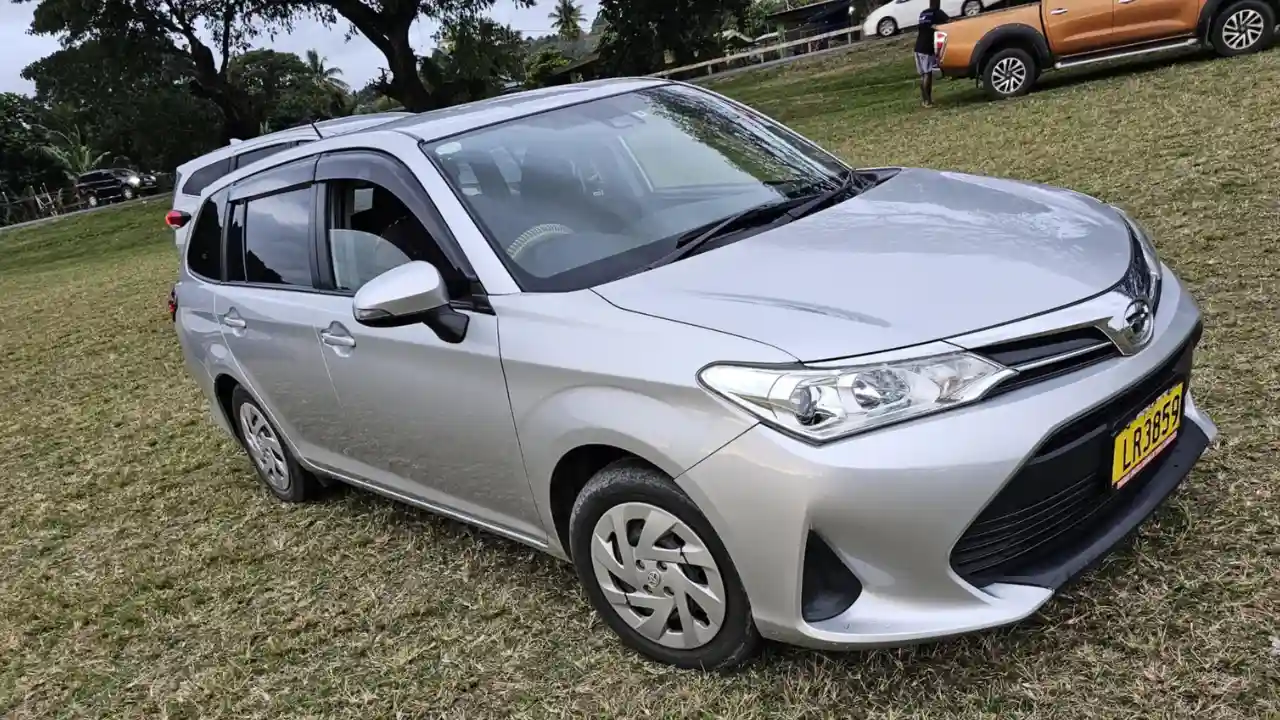 313 Rentals Taxis and Tours 2